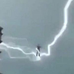 Meet your Posher, Hector